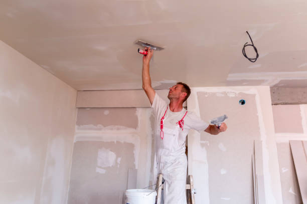 Best Water-Damaged Drywall Repair  in Greensboro, GA